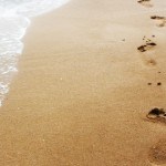 A 7 Step Guide to Website Usability