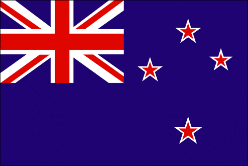 Official Usability & Web Site Guidelines of Governments From Around the World - New Zealand