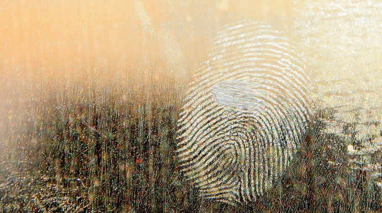 Apple's Mobile Touch ID System - Convenience Or A Security Risk?