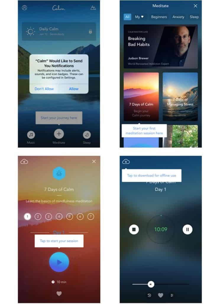 calm app case study